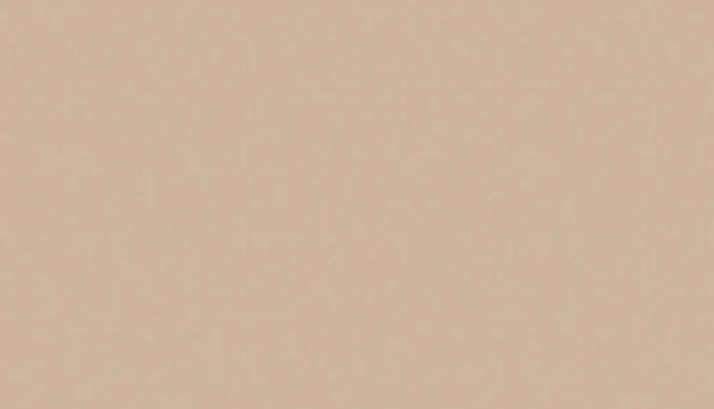 Панель Р008 Вижен матовый 2800*1220 10 мм EVOGLOSS